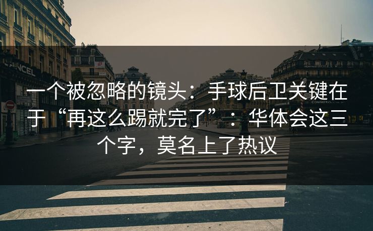 一个被忽略的镜头：手球后卫关键在于“再这么踢就完了”：华体会这三个字，莫名上了热议