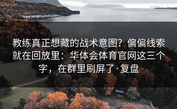 教练真正想藏的战术意图？偏偏线索就在回放里：华体会体育官网这三个字，在群里刷屏了·复盘