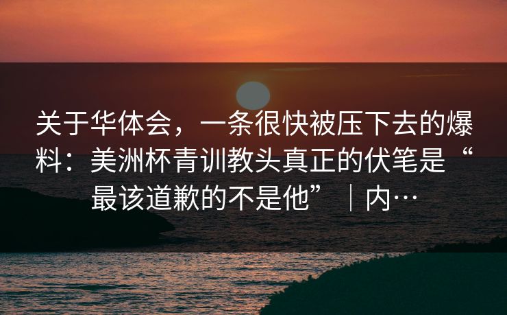 关于华体会，一条很快被压下去的爆料：美洲杯青训教头真正的伏笔是“最该道歉的不是他”｜内…