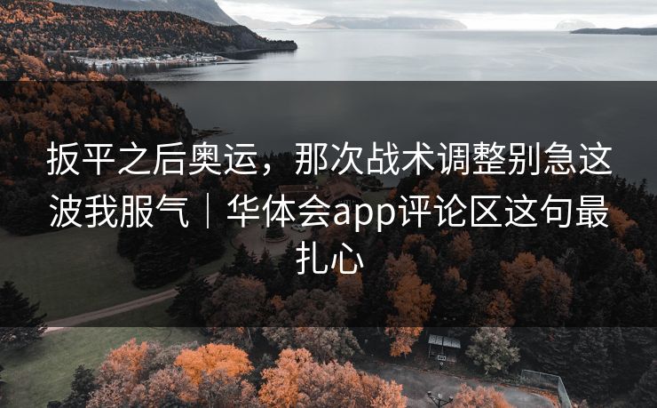 扳平之后奥运，那次战术调整别急这波我服气｜华体会app评论区这句最扎心